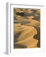 Erg Chebbi Dunes, Merzouga, Tafilalt, Morocco-Walter Bibikow-Framed Photographic Print