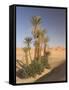Erg Chebbi, Merzouga, Sahara Desert, Morocco, North Africa, Africa-Gavin Hellier-Framed Stretched Canvas