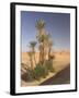 Erg Chebbi, Merzouga, Sahara Desert, Morocco, North Africa, Africa-Gavin Hellier-Framed Photographic Print