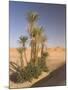 Erg Chebbi, Merzouga, Sahara Desert, Morocco, North Africa, Africa-Gavin Hellier-Mounted Photographic Print