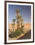 Erg Chebbi, Merzouga, Sahara Desert, Morocco, North Africa, Africa-Gavin Hellier-Framed Photographic Print