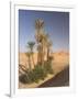 Erg Chebbi, Merzouga, Sahara Desert, Morocco, North Africa, Africa-Gavin Hellier-Framed Photographic Print