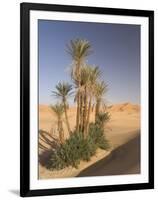 Erg Chebbi, Merzouga, Sahara Desert, Morocco, North Africa, Africa-Gavin Hellier-Framed Photographic Print