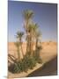 Erg Chebbi, Merzouga, Sahara Desert, Morocco, North Africa, Africa-Gavin Hellier-Mounted Photographic Print