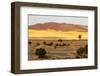 Erg Chebbi, Sahara Desert, Morocco. Camel trek on the Sahara Desert-Jolly Sienda-Framed Photographic Print