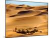 Erg Ubari Desert, Ubari, Libya, North Africa, Africa-null-Mounted Photographic Print