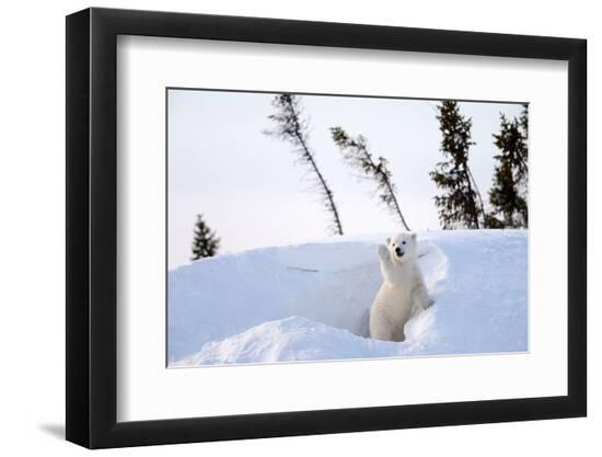 Premium Photographic Print, , large