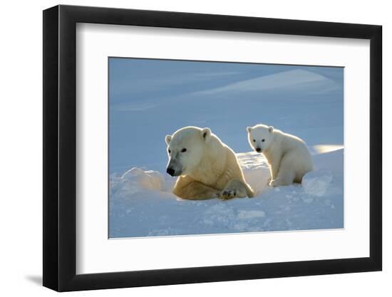 Premium Photographic Print, , large