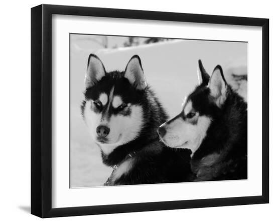 Premium Photographic Print, , large