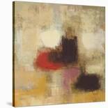 Dark Flame-Eric Balint-Stretched Canvas