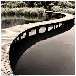 Water Walkway-Eric Chan-Art Print