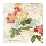 Redoute's Roses 2.0-Eric Chestier-Stretched Canvas