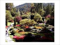 Butchart Gardens, Vancouver Island, Canada-Eric Curre-Giclee Print