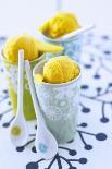 Mango Sorbet-Eric Fenot-Laminated Photographic Print