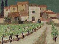 Vineyard, Provence-Eric Hains-Giclee Print