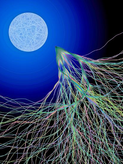 Photographic Print, , large