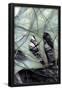 Essential Black