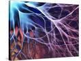 Stretched Canvas