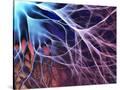 Stretched Canvas
