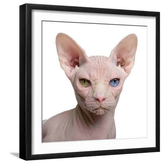 Photographic Print, , large