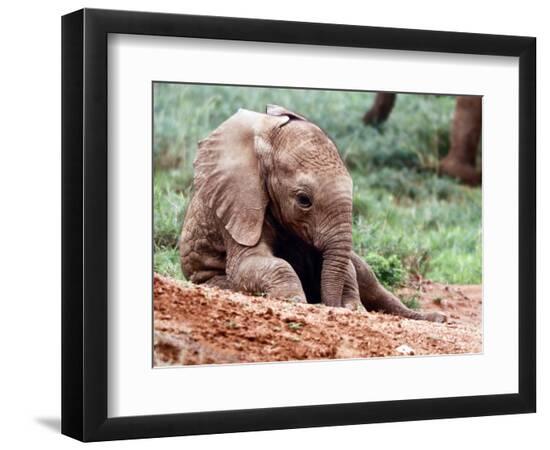 Photographic Print, , large