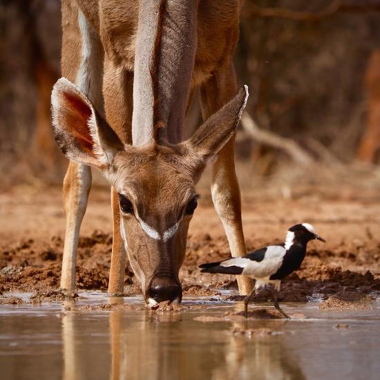 Photographic Print, , large