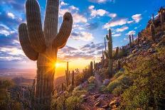 Tom's Thumb Trail Leads through Beautiful Sonoran Desert Mountain Landscape towards an Awesome Suns-Eric Mischke-Photographic Print