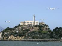 Egret Flies over the lawns of Alcatraz, San Francisco, California-Eric Risberg-Photographic Print