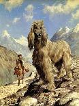 Afghan Hound-Eric Tansley-Stretched Canvas