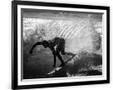 Gramercy Black