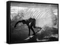 Canvas Black