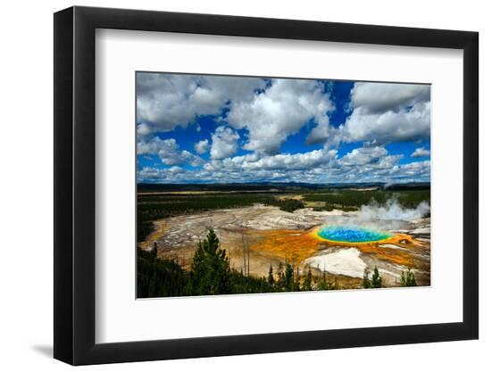 Premium Photographic Print, , large