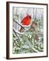 Chelsea Espresso