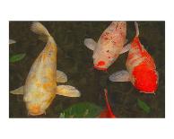 Green Rock Japanese Koi II-erichan-Giclee Print