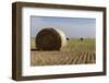 Erick, Oklahoma, USA. Route 66-Julien McRoberts-Framed Photographic Print