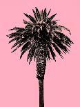 Palm Trees 2000 (Cyan)-Erik Asla-Photographic Print