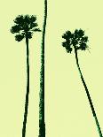 Palm Trees 2000 (Cyan)-Erik Asla-Loft Art