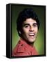 Erik Estrada-null-Framed Stretched Canvas