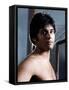 Erik Estrada-null-Framed Stretched Canvas