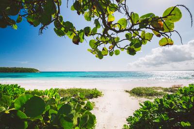 A White Sand Beach On The Island Of Eleuthera, The Bahamas