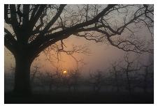 Pink Sunset Adirondacks-Erik Richards-Framed Art Print