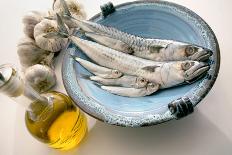 Plate of Mackerel-Erika Craddock-Photographic Print