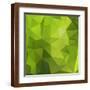 Brown Frame