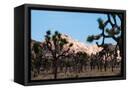 Canvas Black