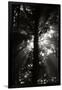 Gramercy Black