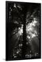 Gramercy Black