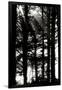 Gramercy Black