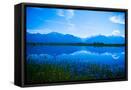 Canvas Black