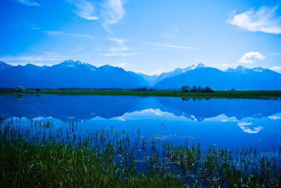 Premium Photographic Print, , large