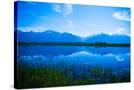 Stretched Canvas